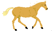 animated horse