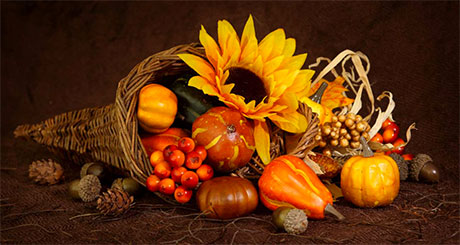 cornucopia