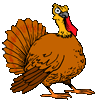 turkey animation