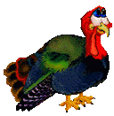 animated turkey in bright colors