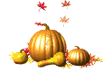 pumpkins and gourd animation