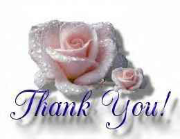 DAILY THEME - Page 4 Thank-you-rose