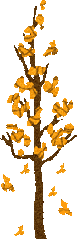 tree with yellow leaves falling