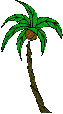tall palm tree transparent gif file