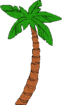 tall palm tree