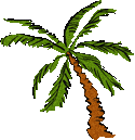short palm tree