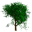 tree animated clipart