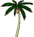 animated palm tree with coconuts