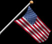 American Flag - black