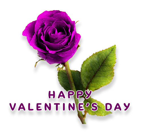 Free Animated Valentines Day Clipart - Valentine Gifs