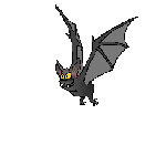 vampire bat in flight