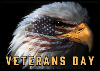 Veterans Day Eagle